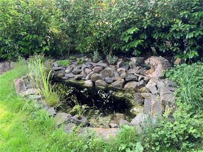 Picture 22